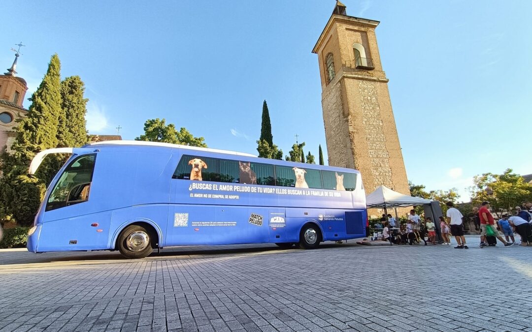 BUS DE LA ADOPCIÓN DE SALVANDO PELUDOS